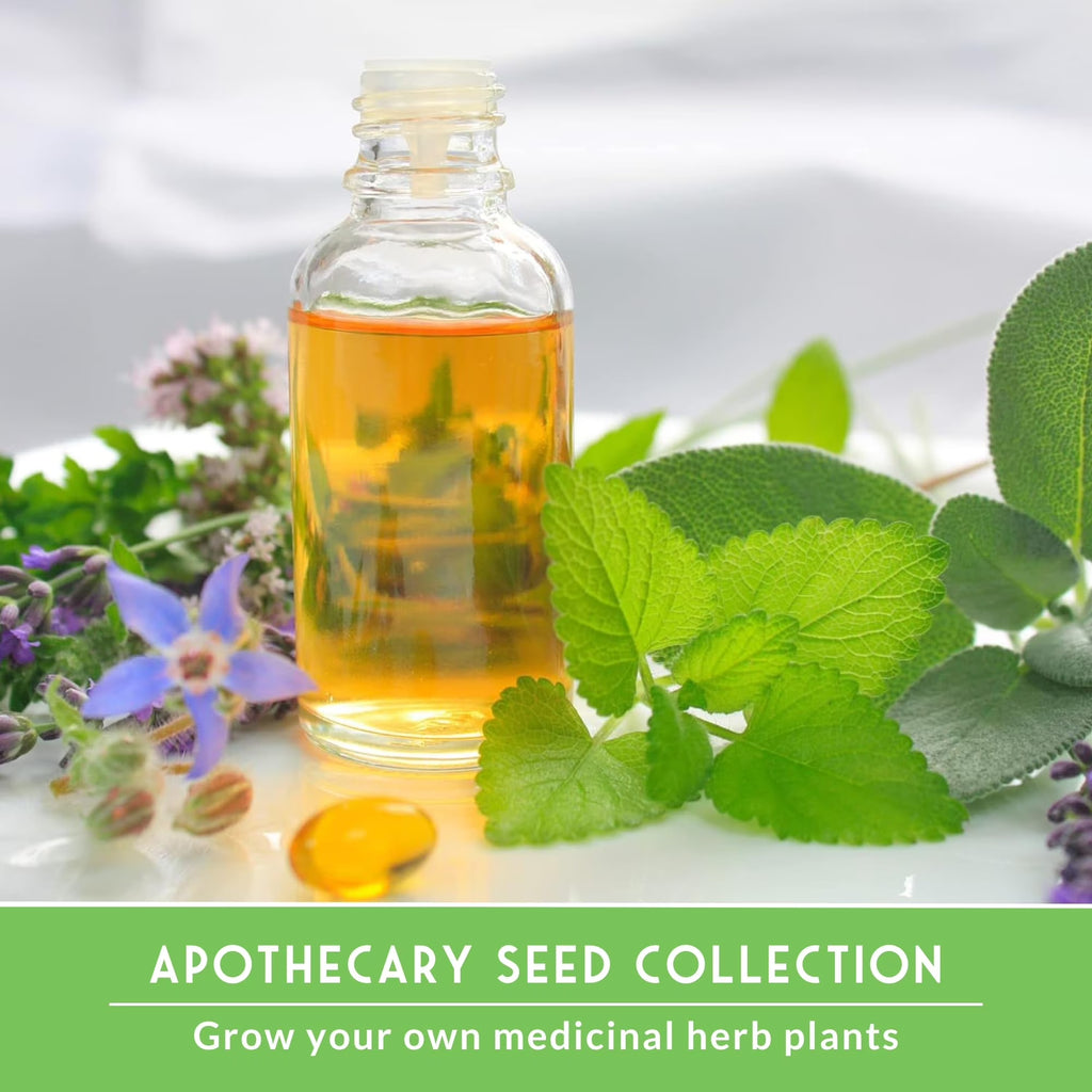 Medicinal Herb Seeds 18 Pack Collection - Heirloom Full Sun, Perennial