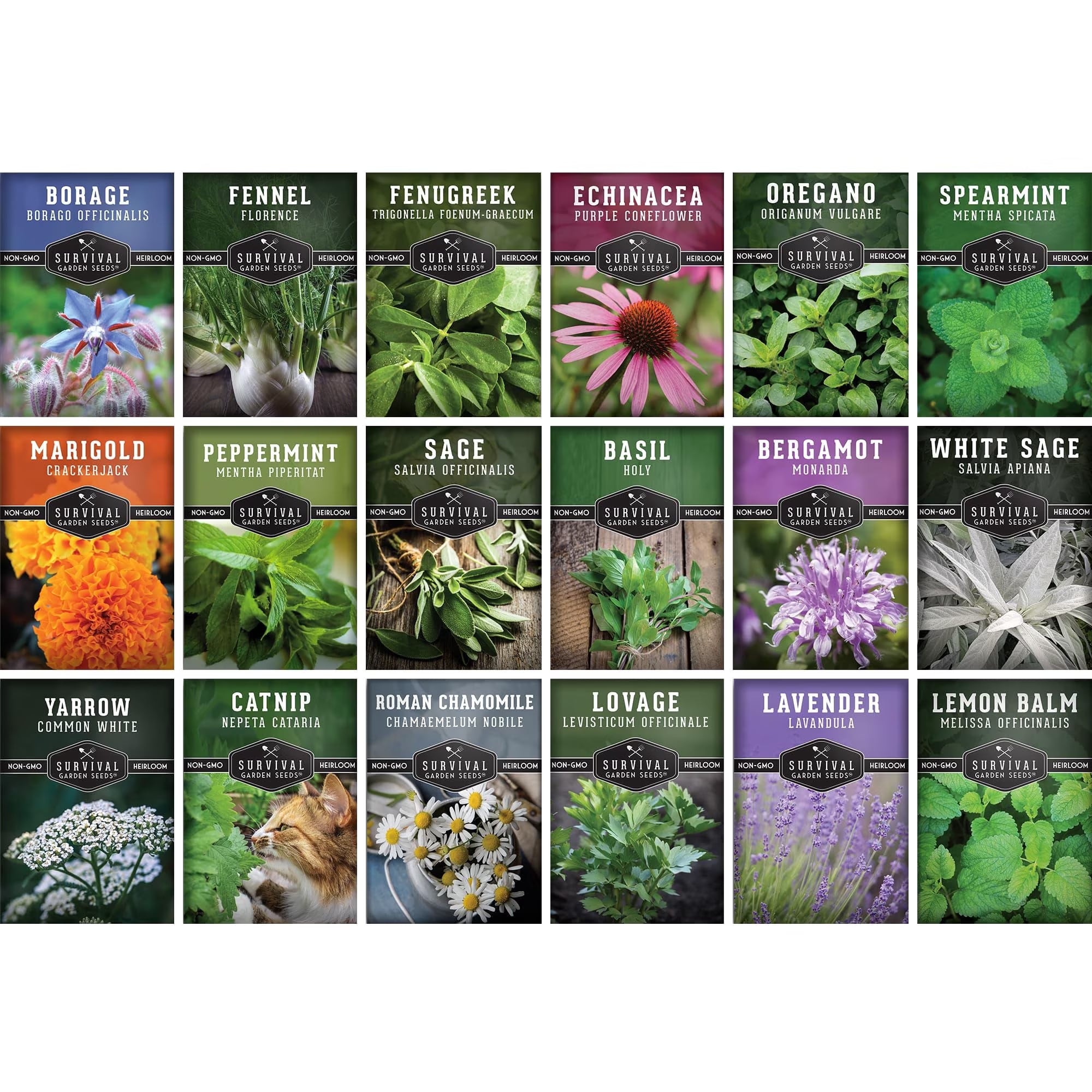 Medicinal Herb Seeds 18 Pack Collection - Heirloom Full Sun, Perennial