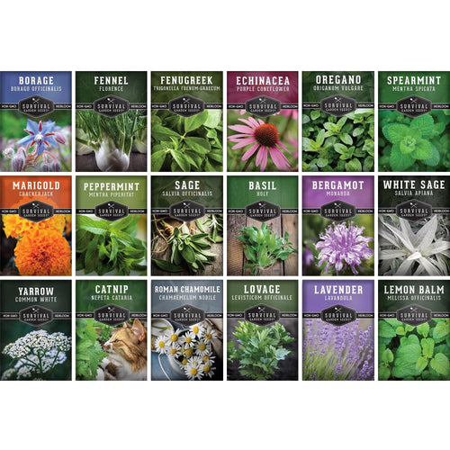 Medicinal Herb Seeds 18 Pack Collection - Heirloom Full Sun, Perennial